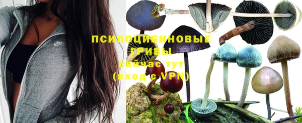 спайс Баксан