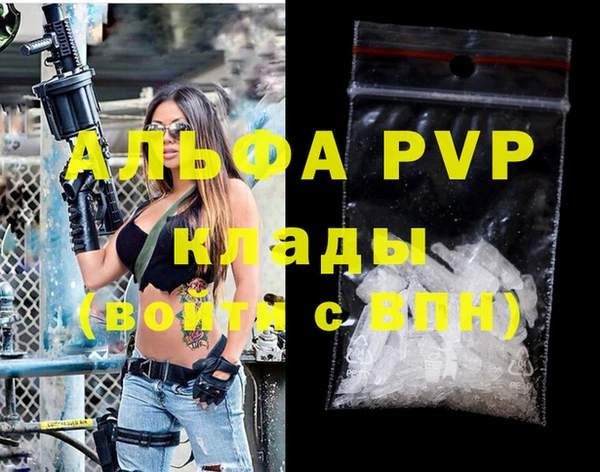 ГАЛЛЮЦИНОГЕННЫЕ ГРИБЫ Белокуриха