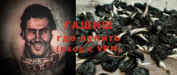 ГАЛЛЮЦИНОГЕННЫЕ ГРИБЫ Белокуриха