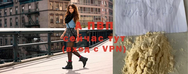 спайс Баксан