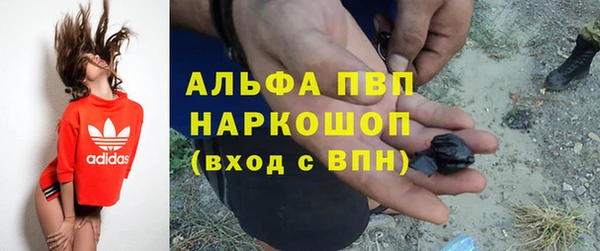 ГАЛЛЮЦИНОГЕННЫЕ ГРИБЫ Белокуриха